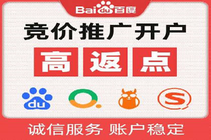 揭秘：成功SEM推广代运营公司案例解析
